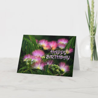 Mimosaの誕生日 カード