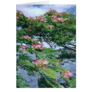 Mimosa花および水眺め