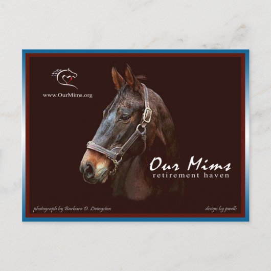 Mimsトリビュートポストカード ポストカード (正面)