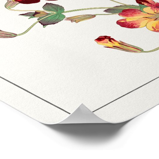 Mimulus luteus by Tanigami Kona ポスター (角)