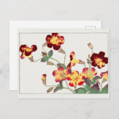 Mimulus luteus by Tanigami Kona ポストカード (正面/裏面)