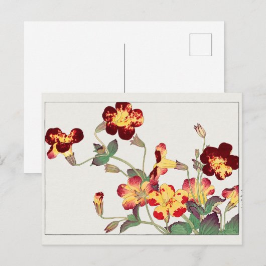 Mimulus luteus by Tanigami Kona ポストカード (正面/裏面)