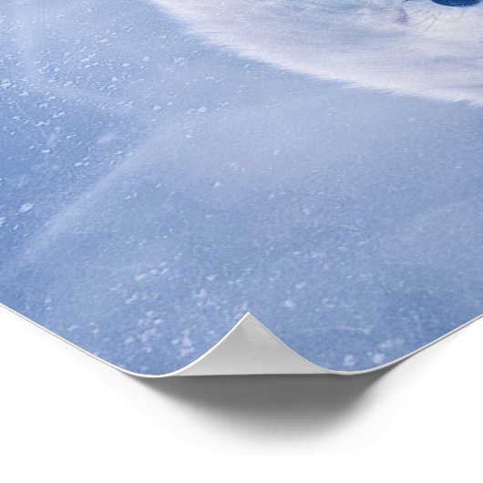 Mindset Is Everything, Arctic Wolf Success Hustle ポスター (角)