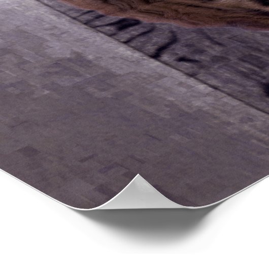 Mindset Is Everything - Cat and Tiger Reflection ポスター (角)