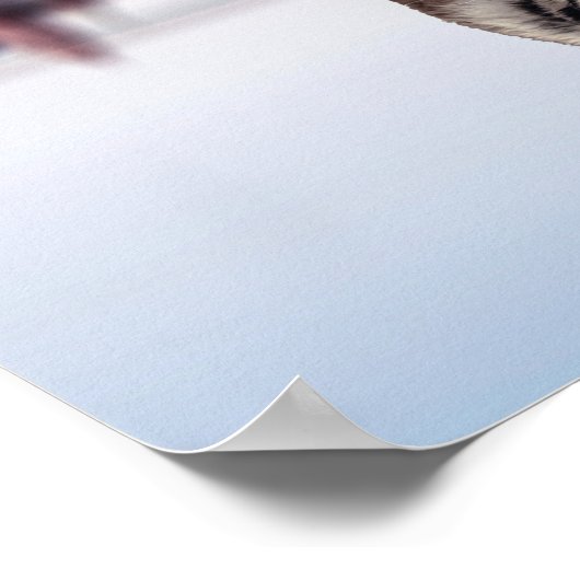 Mindset Is Everything - Cat and Tiger Reflection ポスター (角)