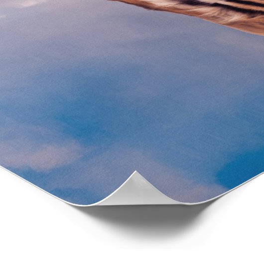 Mindset Is Everything - Tiger Water Reflection ポスター (角)