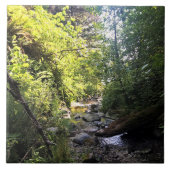 Miner Creek、Samuel H. Boardman、OR タイル (正面)