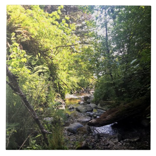 Miner Creek、Samuel H. Boardman、OR タイル (正面)