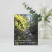 Miner Creek、Samuel H. Boardman、OR ポストカード (スタンド正面)