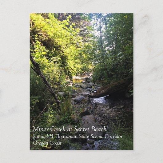Miner Creek、Samuel H. Boardman、OR ポストカード (正面)
