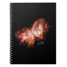 MINGの現実の本1: MINGの蝶ノート