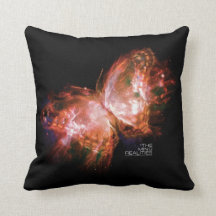 MINGの現実の本1: MINGの蝶枕