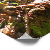 Mingus Creek at Smoky Mountains ポスター (角)