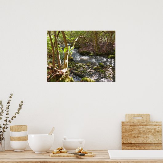 Mingus Creek at Smoky Mountains ポスター (キッチン)
