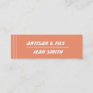 mini carte de visite スキニー名刺