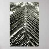 mini folhas ポスター (正面)