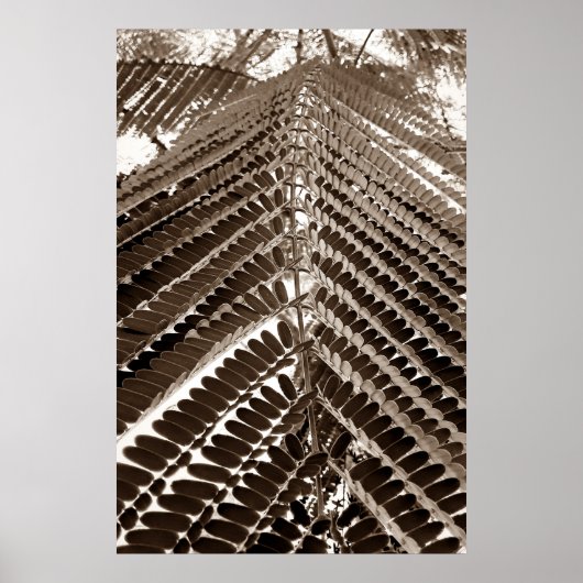 mini folhas - old ポスター (正面)