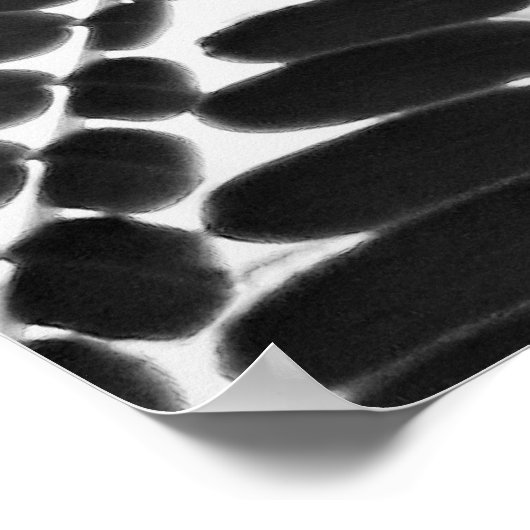 mini folhas - P&B ポスター (角)