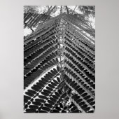 mini folhas - P&B ポスター (正面)