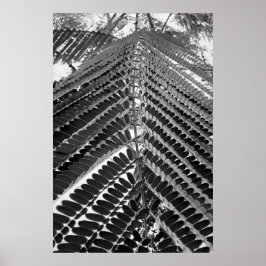 mini folhas - P&B ポスター