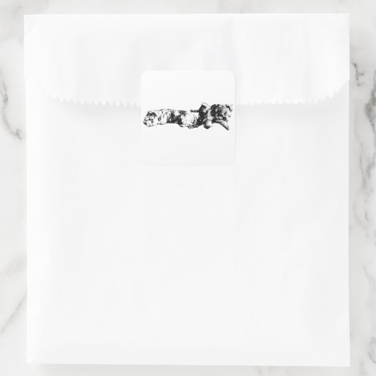 Mini Schnauzer Duo – Bold Black & White Sticker スクエアシール (バッグ)