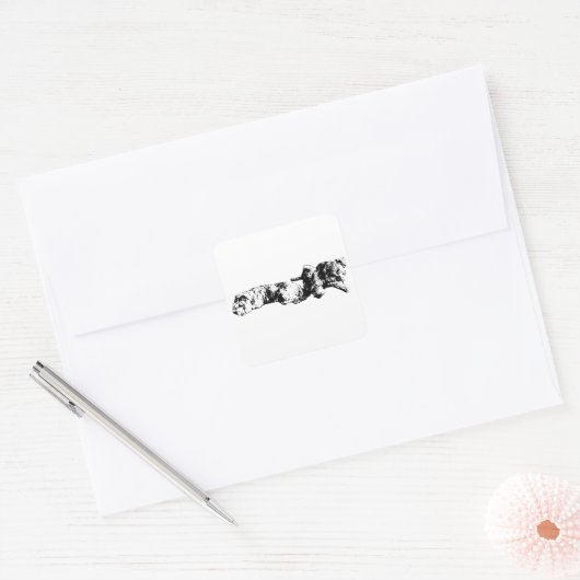Mini Schnauzer Duo – Bold Black & White Sticker スクエアシール (封筒)