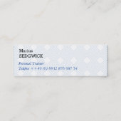 Mini Visitenkarten スキニー名刺 (裏面)