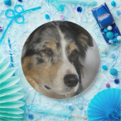 Miniature American Shepherd Blue Merle second ペーパープレート (パーティー)