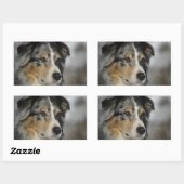 Miniature American Shepherd Blue Merle second 長方形シール (シート)