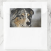 Miniature American Shepherd Blue Merle second 長方形シール (バッグ)