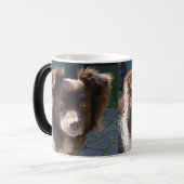 miniature american shepherd red tri モーフィングマグカップ (正面左)