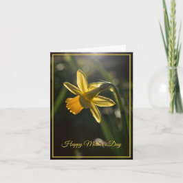 Miniature Daffodil Mother's Day カード