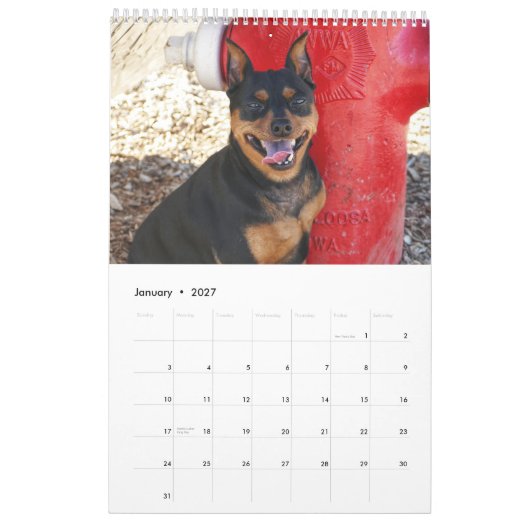 Miniature Pinscher One カレンダー (1月 2027)