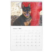 Miniature Pinscher One カレンダー (1月 2026)