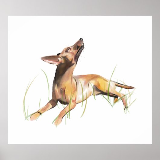 Miniature Pinscher Sticker Label ポスター (正面)