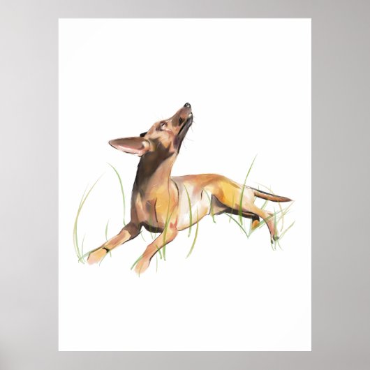 Miniature Pinscher Watercolor Painitng, Wall Art ポスター (正面)