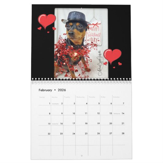 Miniature Pinscher Year カレンダー (2月 2026)