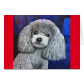 Miniature Poodle (正面横)