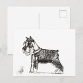 MINIATURE SCHNAUZER シーズンポストカード (正面/裏面)