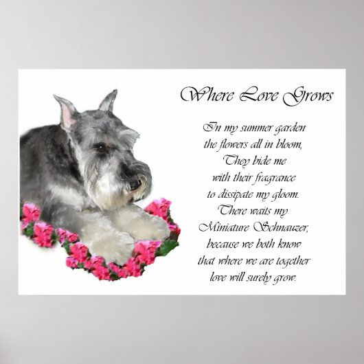 Miniature Schnauzer Art Gifts Prints ポスター (正面)