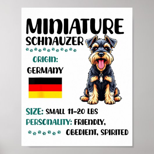 Miniature Schnauzer Origin Funny Mini Schnauzer Lo ポスター (正面)