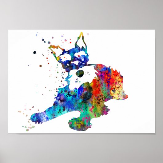 Miniature schnauzer, watercolor Miniature schnauze ポスター (正面)