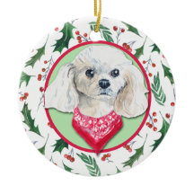 Miniature White Poodle Holly Border