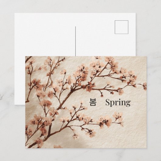 Minimal Cherry Blossom Spring Postcard ポストカード (正面/裏面)