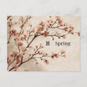 Minimal Cherry Blossom Spring Postcard ポストカード (正面)