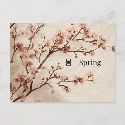 Minimal Cherry Blossom Spring Postcard ポストカード (正面)