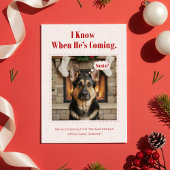Minimal Cute Dog Funny Pet Photo Christmas シーズンカード