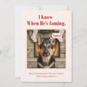 Minimal Funny Adorable Dog Pet Photo Christmas シーズンカード (正面)