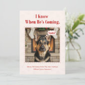 Minimal Funny Adorable Dog Pet Photo Christmas シーズンカード (スタンド正面)