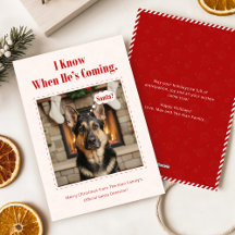 Minimal Funny Adorable Dog Pet Photo Christmas